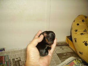 pict3198.jpg