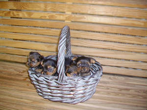 pict3524.jpg